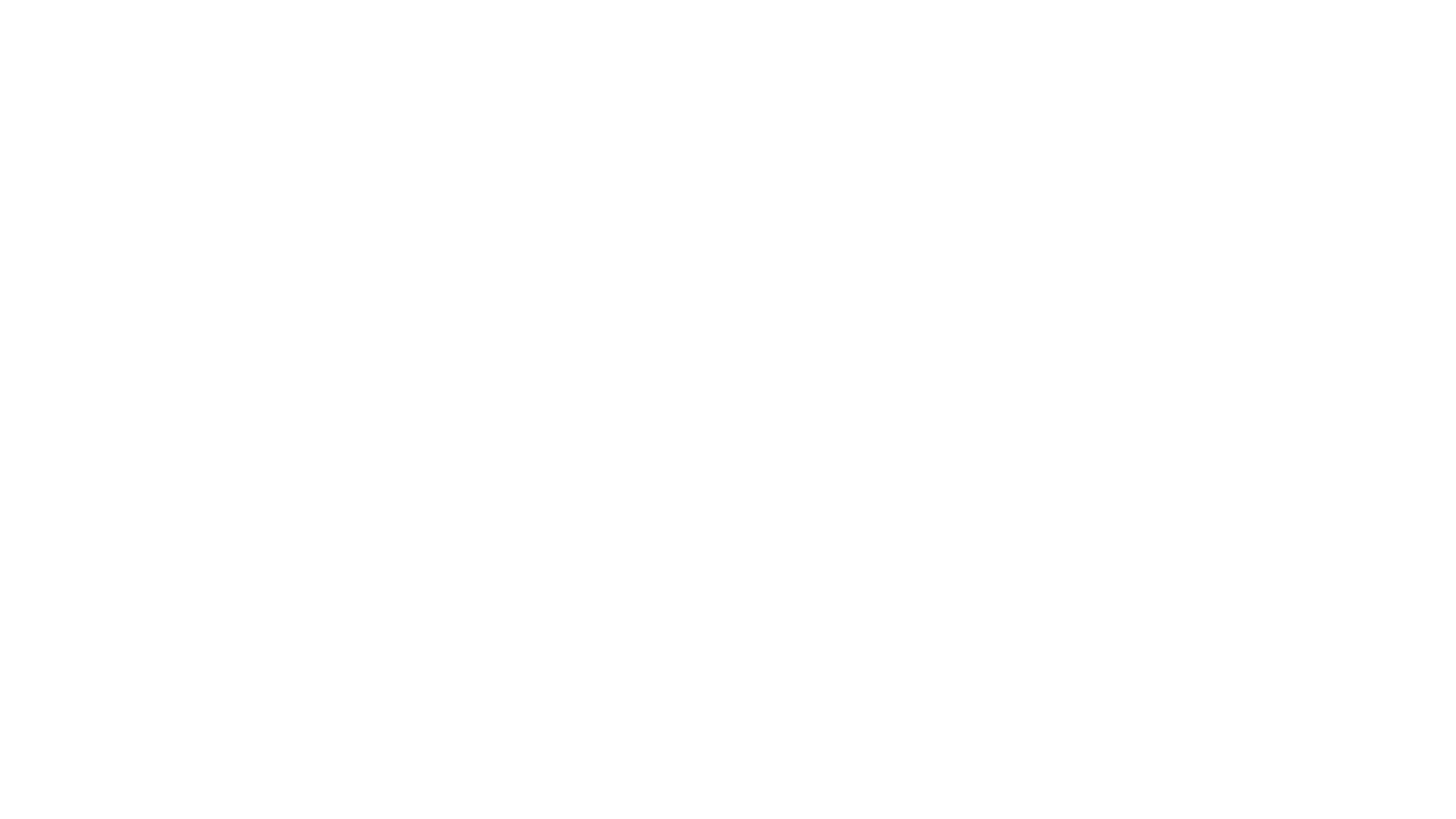Rutas del Sur S.A. — transporte de cargas generales